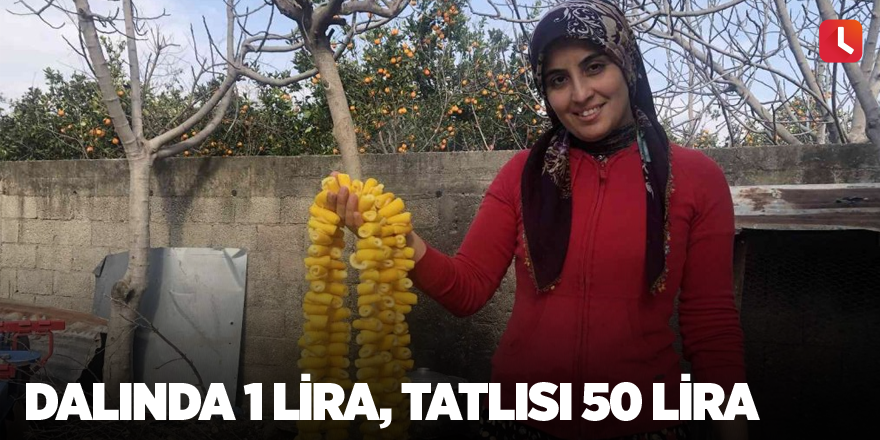 Dalında 1 lira, tatlısı 50 lira