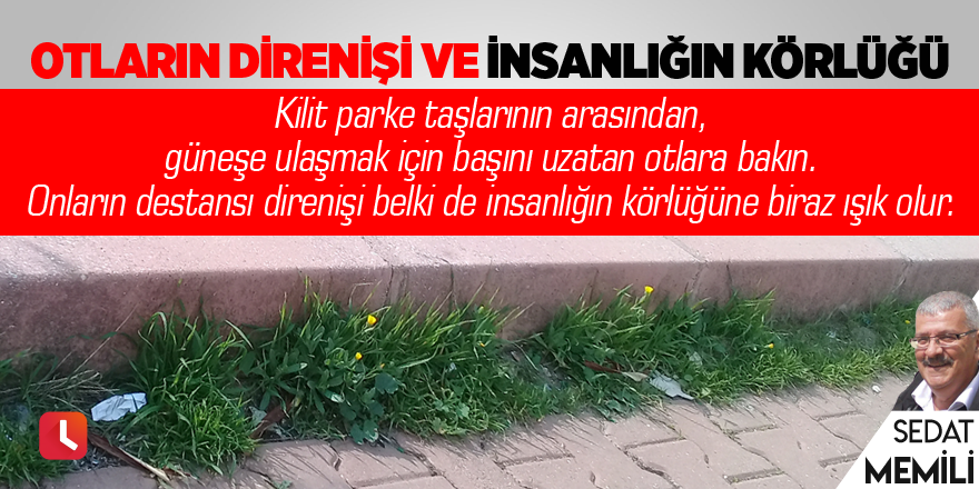 Otların Direnişi ve İnsanlığın Körlüğü