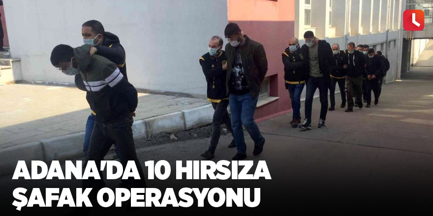 Adana'da 10 hırsıza şafak operasyonu