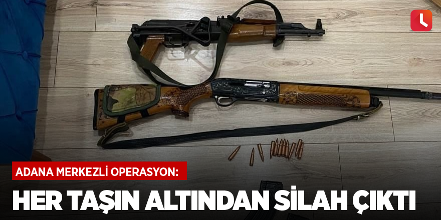 Her taşın altından silah çıktı