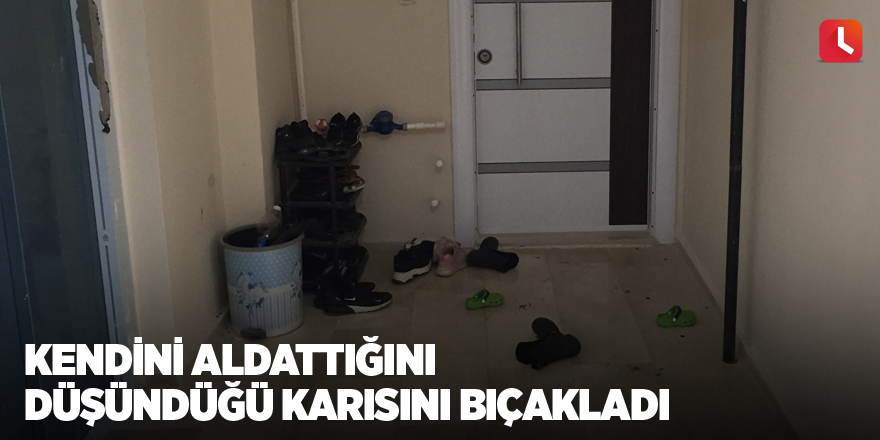 Kendini aldattığını düşündüğü karısını bıçakladı