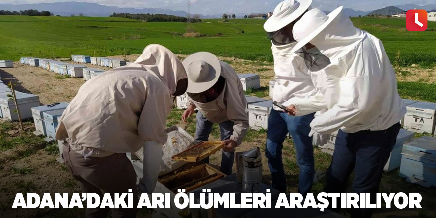 Adana’daki arı ölümleri araştırılıyor