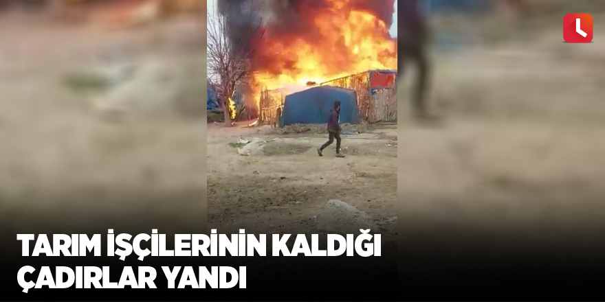 Tarım işçilerinin kaldığı çadırlar yandı