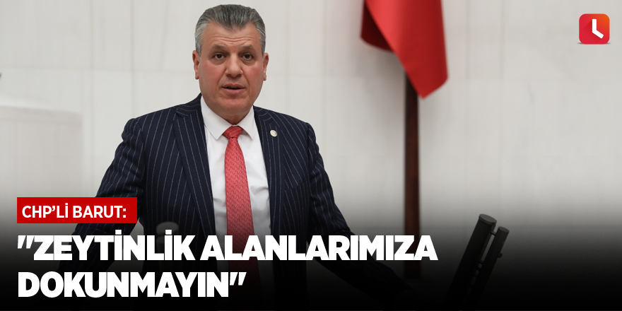 "Zeytinlik alanlarımıza dokunmayın"