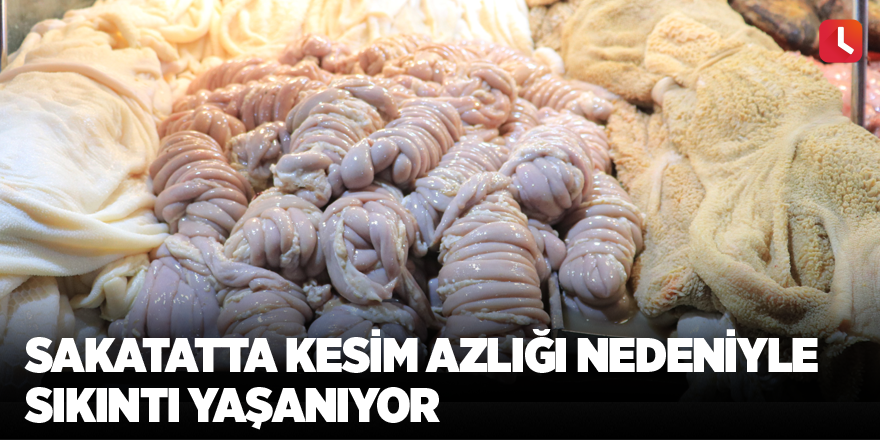 Sakatatta kesim azlığı nedeniyle sıkıntı yaşanıyor