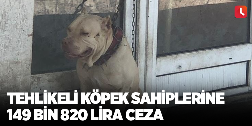 Tehlikeli köpek sahiplerine 149 bin 820 lira ceza