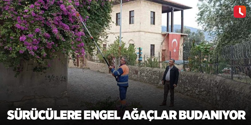 Sürücülere engel ağaçlar budanıyor