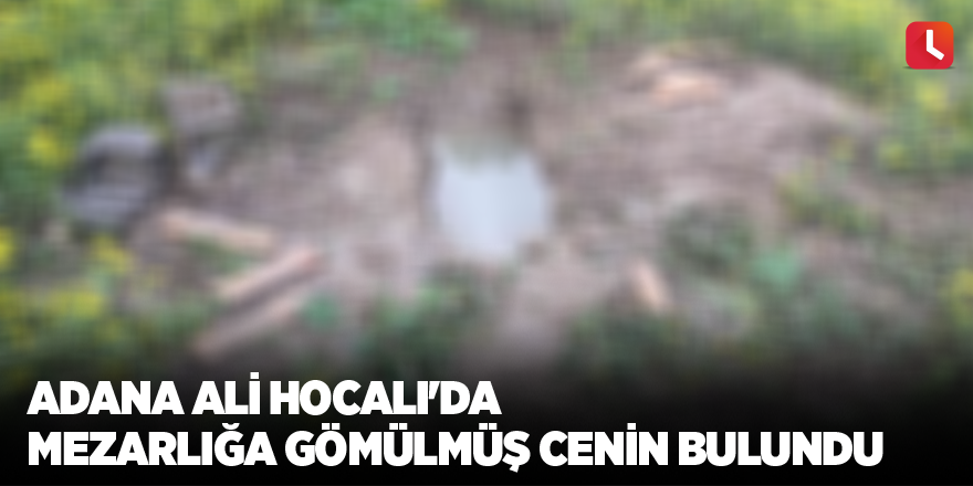 Adana Ali Hocalı'da mezarlığa gömülmüş cenin bulundu