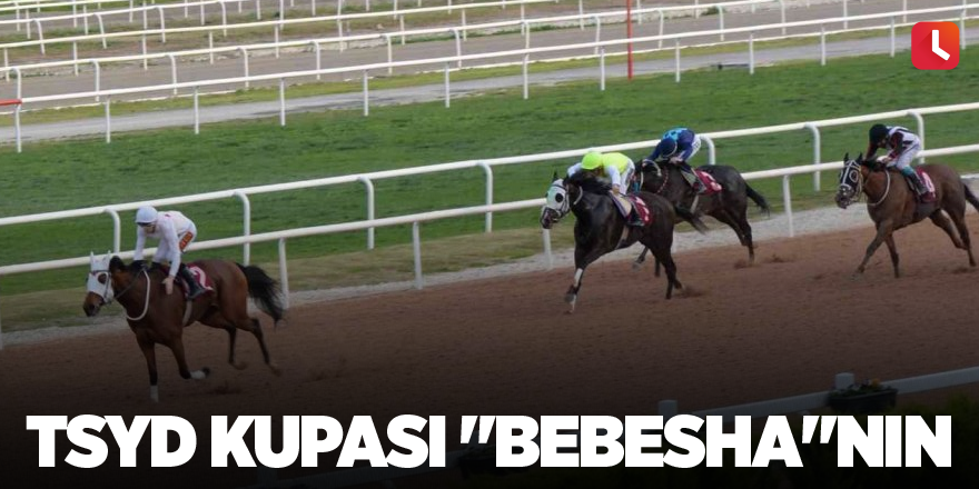 TSYD kupası "Bebesha"nın