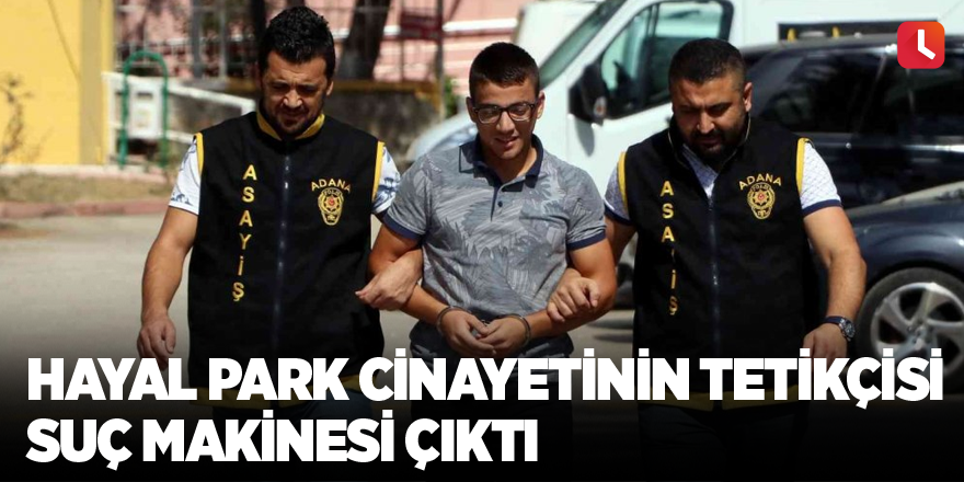 Hayal Park cinayetinin tetikçisi suç makinesi çıktı