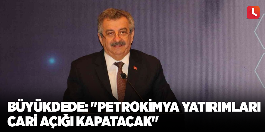 Büyükdede: "Petrokimya yatırımları cari açığı kapatacak"