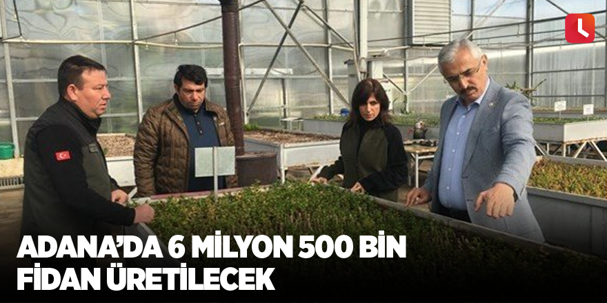 Adana’da 6 milyon 500 bin fidan üretilecek