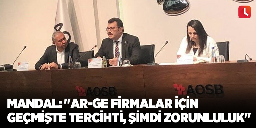 Mandal: "AR-GE firmalar için geçmişte tercihti, şimdi zorunluluk"