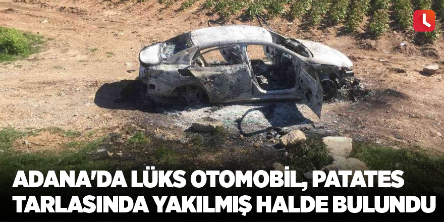 Adana'da lüks otomobil, patates tarlasında yakılmış halde bulundu