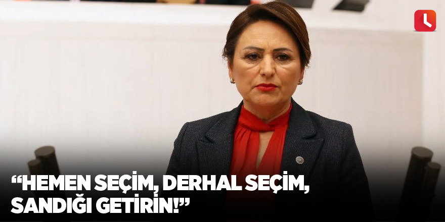 “Hemen seçim, derhal seçim, sandığı getirin!”