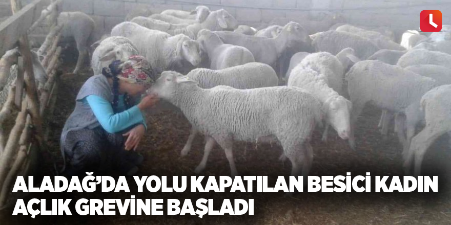 Aladağ'da yolu kapatılan besici kadın açlık grevine başladı