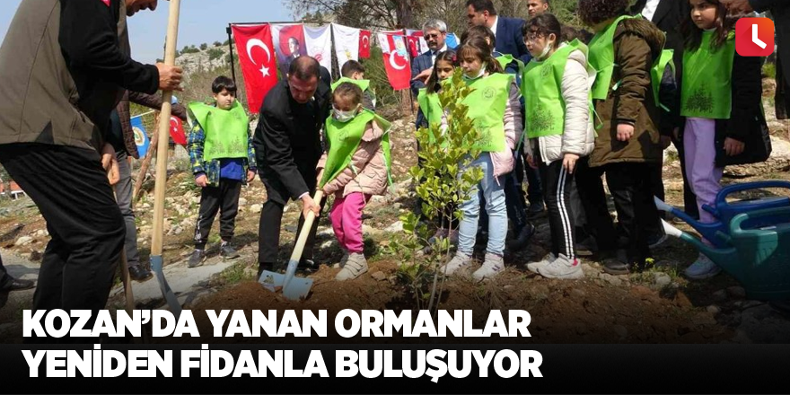 Kozan’da yanan ormanlar yeniden fidanla buluşuyor