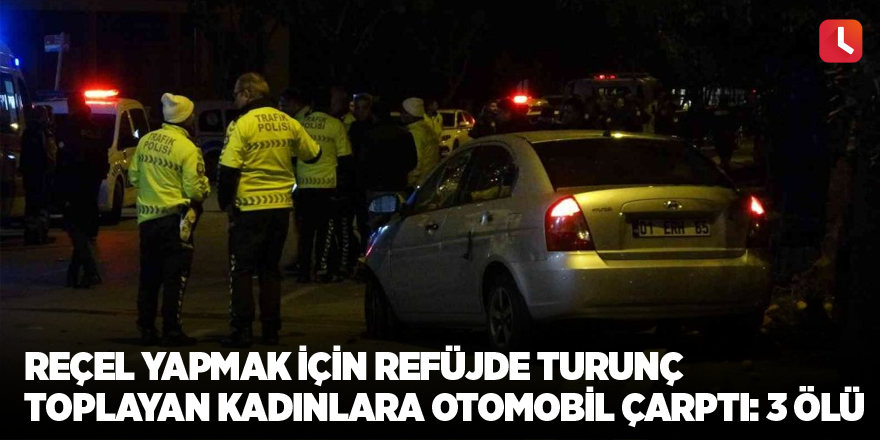 Reçel yapmak için refüjde turunç toplayan kadınlara otomobil çarptı: 3 ölü