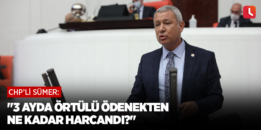 Sümer: 3 ayda örtülü ödenekten ne kadar harcandı?