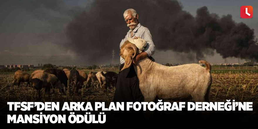 TFSF’den Arka Plan Fotoğraf Derneği’ne mansiyon ödülü