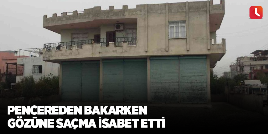 Pencereden bakarken gözüne saçma isabet etti