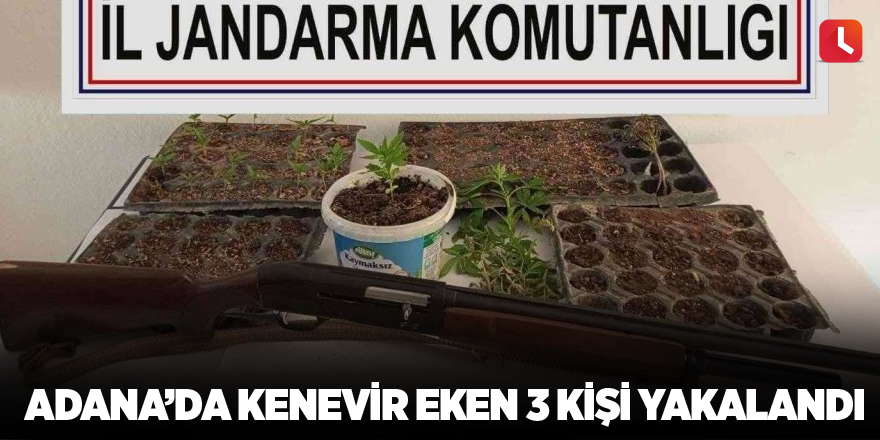 Adana’da kenevir eken 3 kişi yakalandı