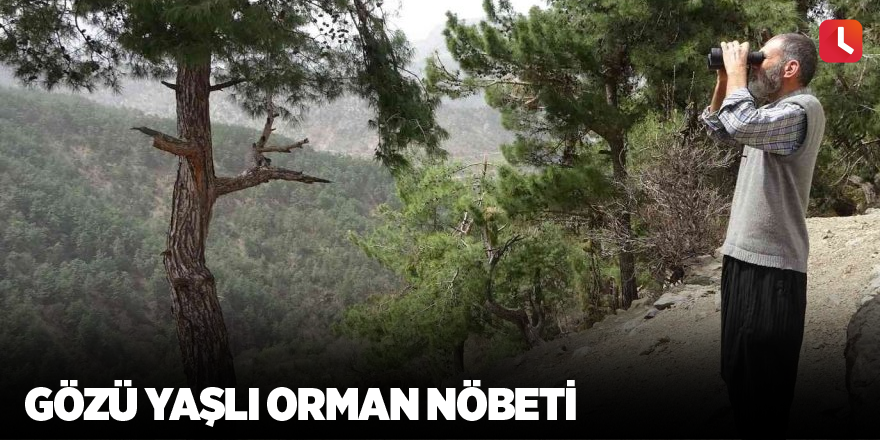 Gözü yaşlı orman nöbeti