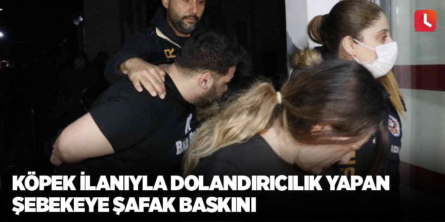 Köpek ilanıyla dolandırıcılık yapan şebekeye şafak baskını