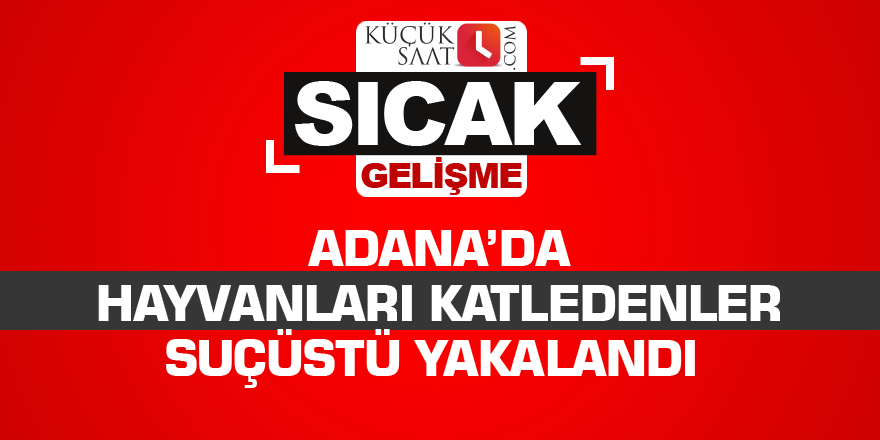 Adana’da hayvanları katledenler suçüstü yakalandı