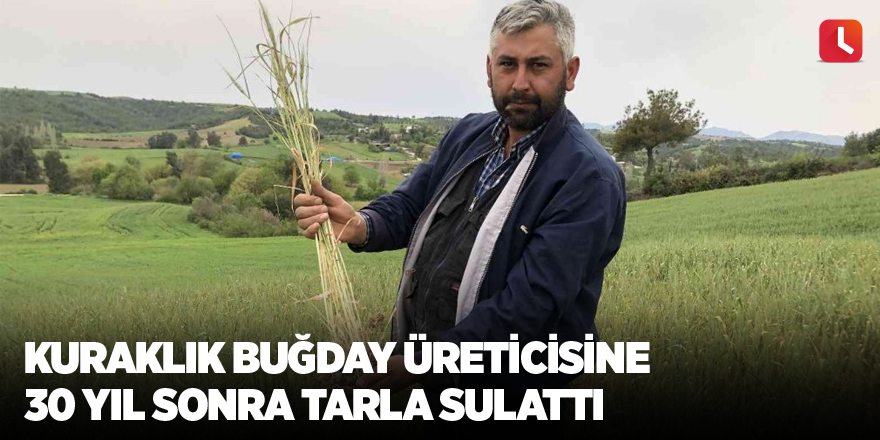 Kuraklık buğday üreticisine 30 yıl sonra tarla sulattı