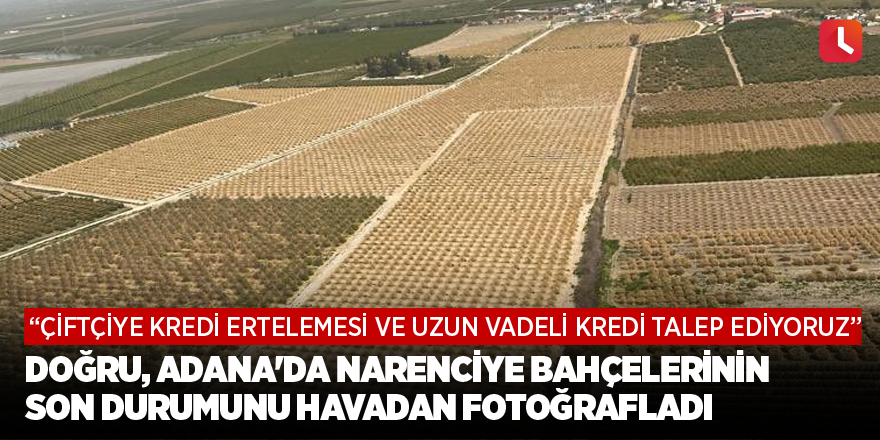 Doğru, Adana'da narenciye bahçelerinin son durumunu havadan fotoğrafladı