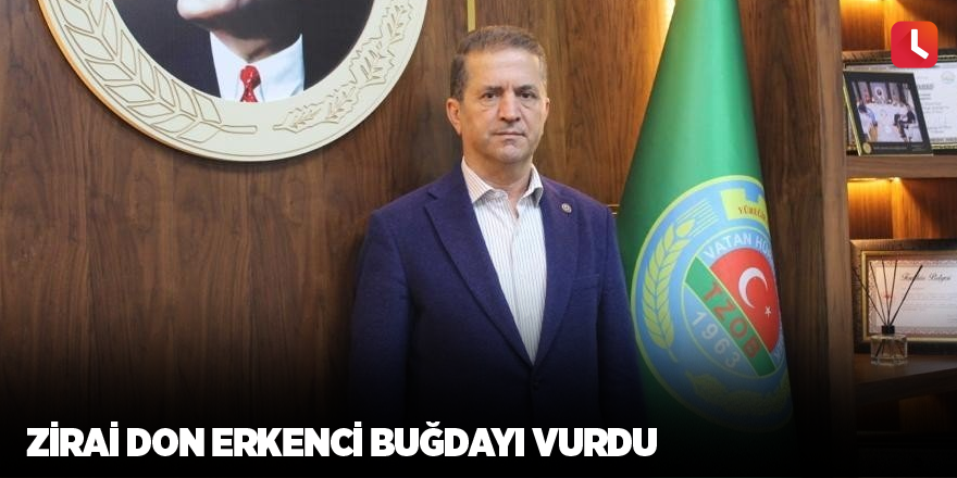 Zirai don erkenci buğdayı vurdu