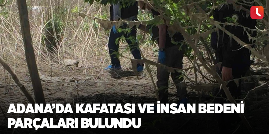 Adana’da kafatası ve insan bedeni parçaları bulundu