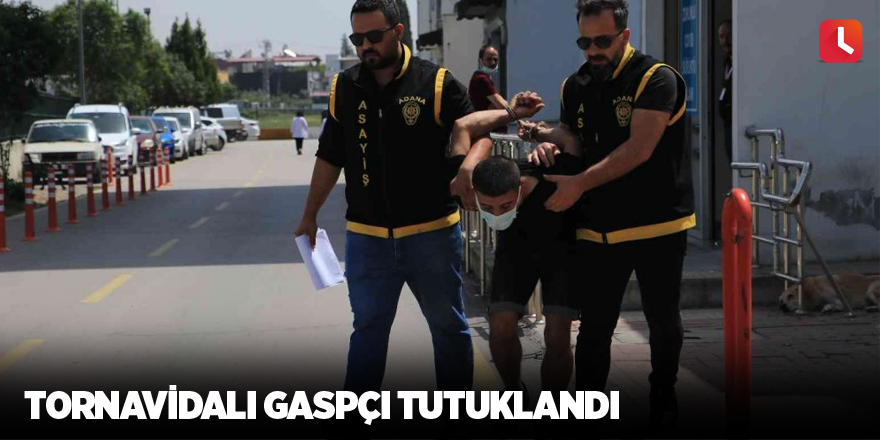 Tornavidalı gaspçı tutuklandı