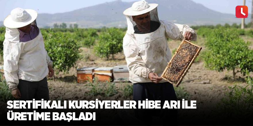 Sertifikalı kursiyerler hibe arı ile üretime başladı