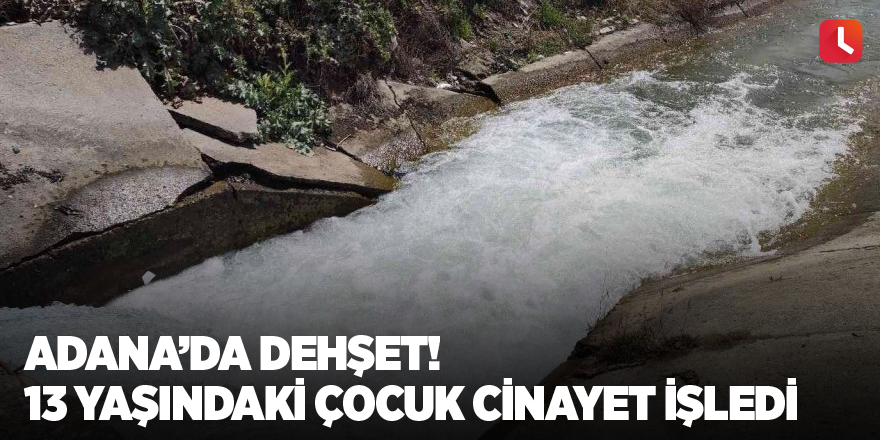 Adana’da dehşet! 13 yaşındaki çocuk cinayet işledi