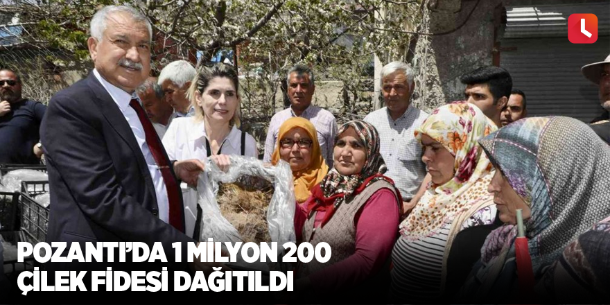 Pozantı’da 1 milyon 200 çilek fidesi dağıtıldı