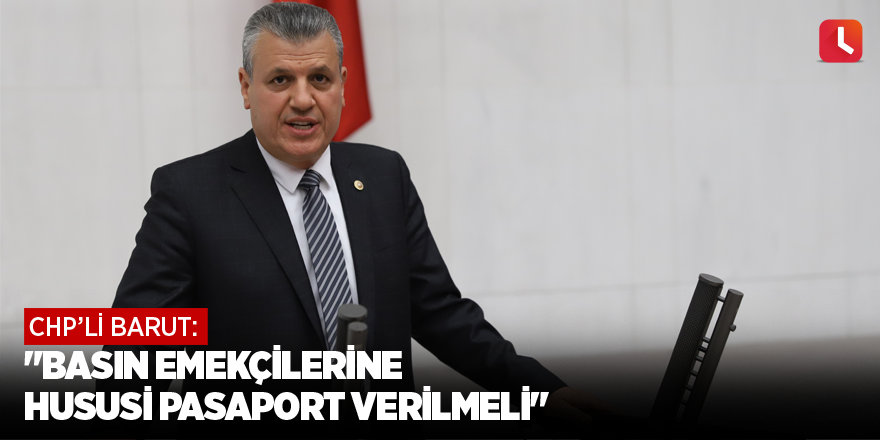 "Basın emekçilerine hususi pasaport verilmeli"