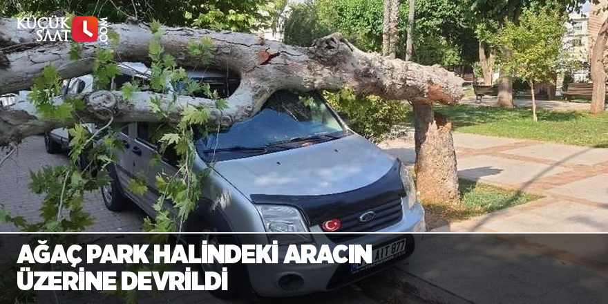 Ağaç park halindeki aracın üzerine devrildi