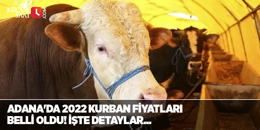 Adana'da 2022 kurban fiyatları belli oldu! İşte detaylar...