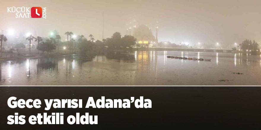 Gece yarısı Adana’da sis etkili oldu