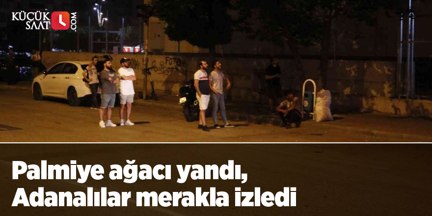 Palmiye ağacı yandı, Adanalılar merakla izledi