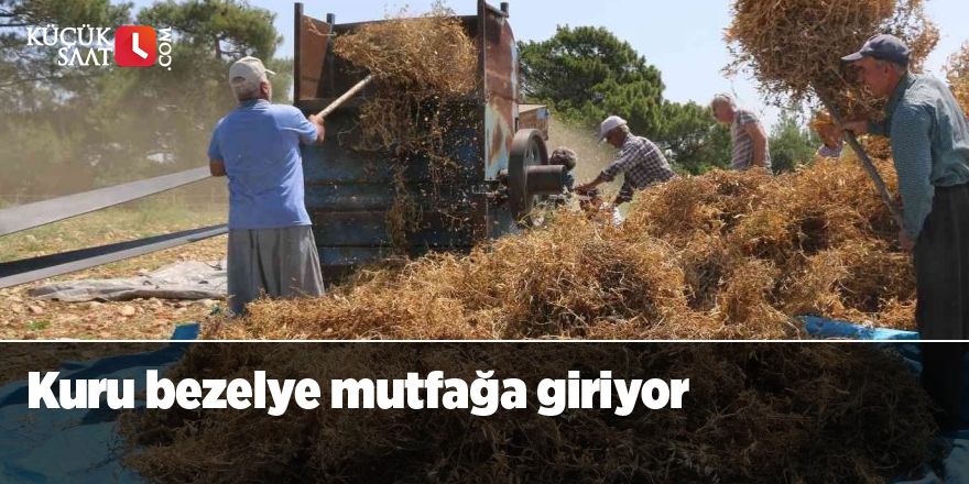 Kuru bezelye mutfağa giriyor