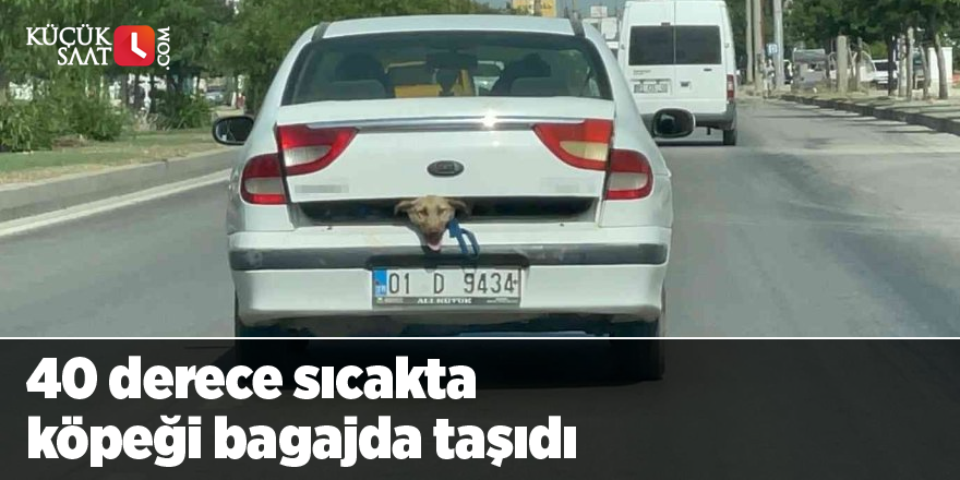 40 derece sıcakta köpeği bagajda taşıdı