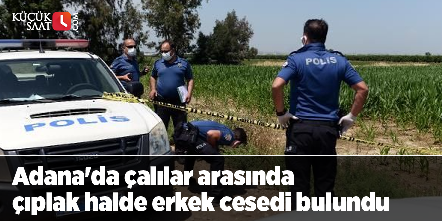 Adana'da çalılar arasında çıplak halde erkek cesedi bulundu