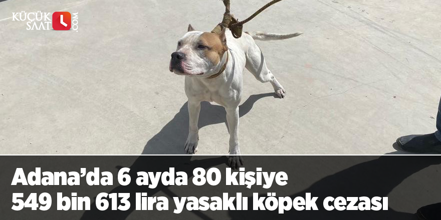 Adana’da 6 ayda 80 kişiye 549 bin 613 lira yasaklı köpek cezası