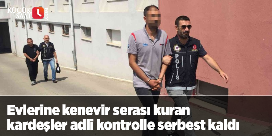 Evlerine kenevir serası kuran kardeşler adli kontrolle serbest kaldı