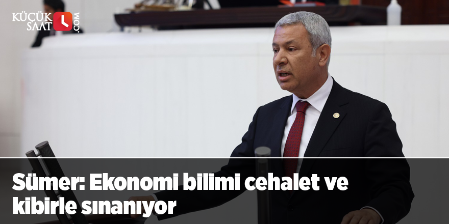 Sümer: Ekonomi bilimi cehalet ve kibirle sınanıyor