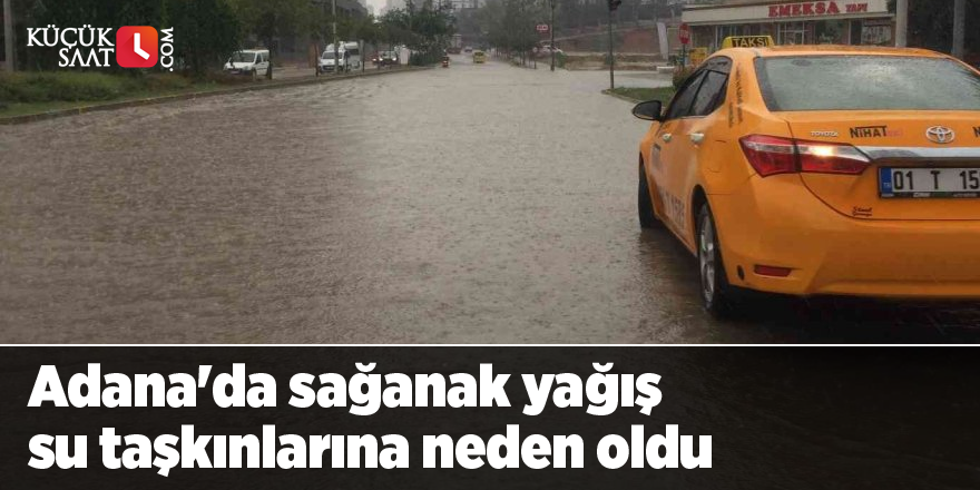 Adana'da sağanak yağış su taşkınlarına neden oldu