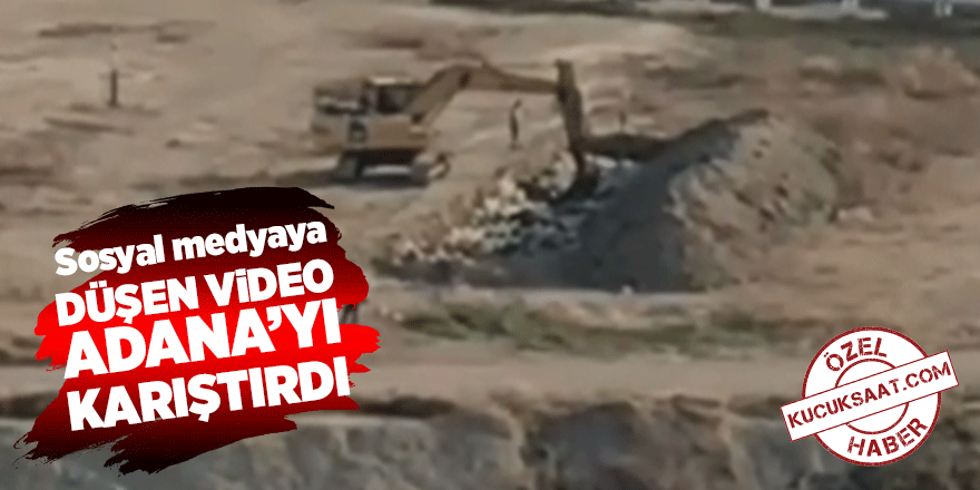 Sosyal medyaya düşen video Adana’yı karıştırdı